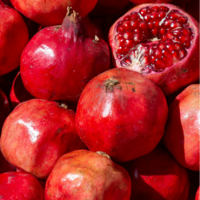 fresh agriculture products (5)